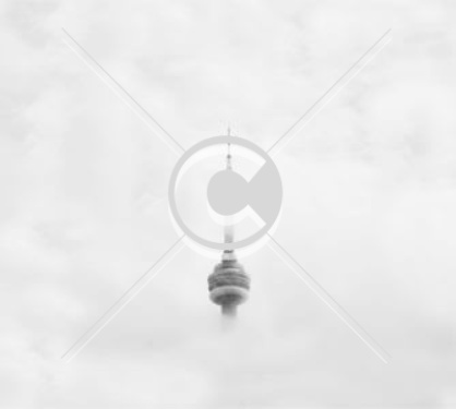third-project